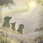 Ever Present Dog x 25