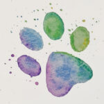 Paw - Pack of 25